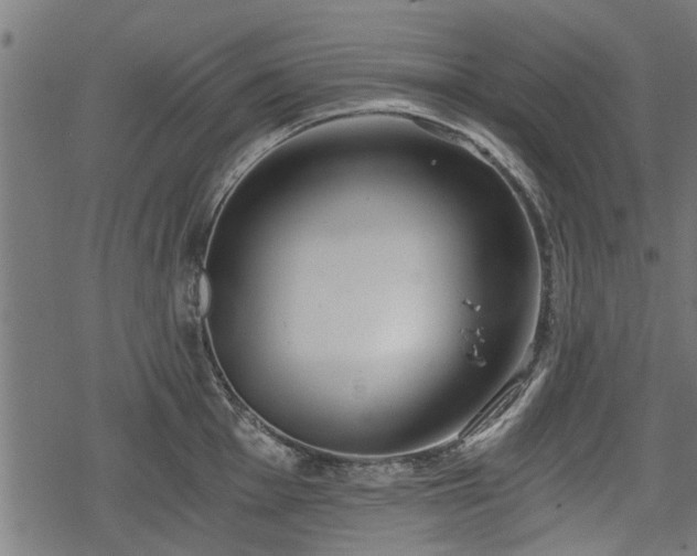 X0000068811001200605121245