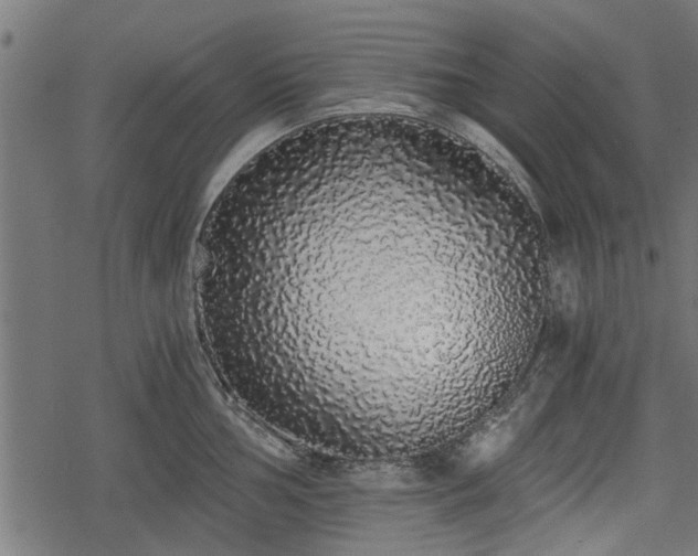 X0000068811002200605121245