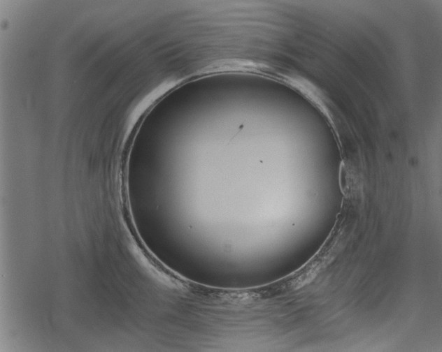 X0000068811003200605121245