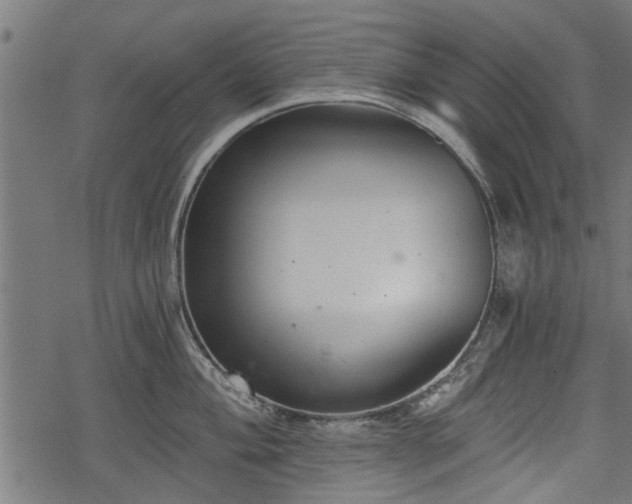 X0000068811004200605121245