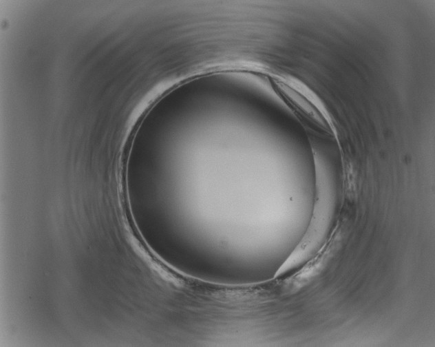 X0000068811005200605121245