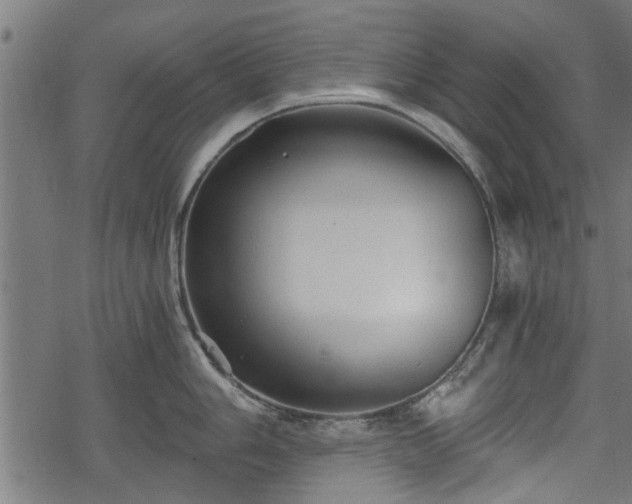 X0000068811006200605121245