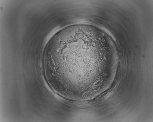 X0000068811007200605121245