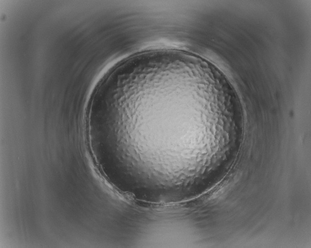 X0000068811008200605121245