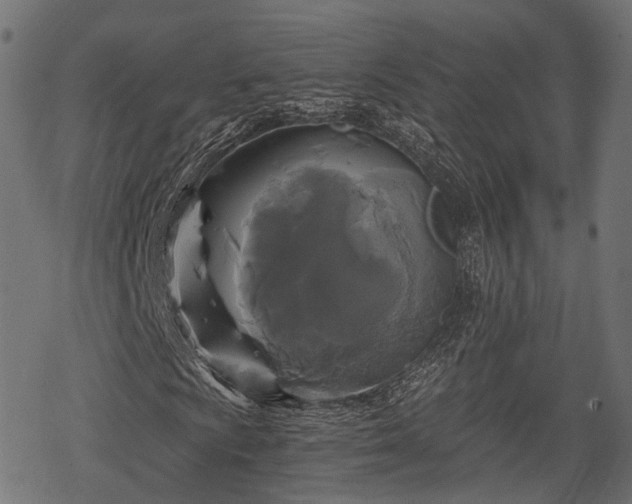 X0000068811009200605121245