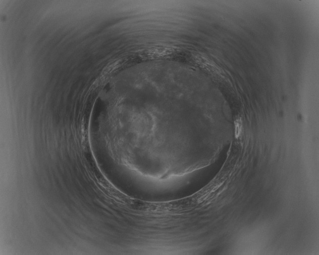 X0000068811011200605121245