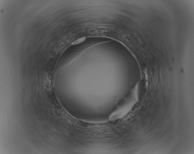 X0000068811013200605121245