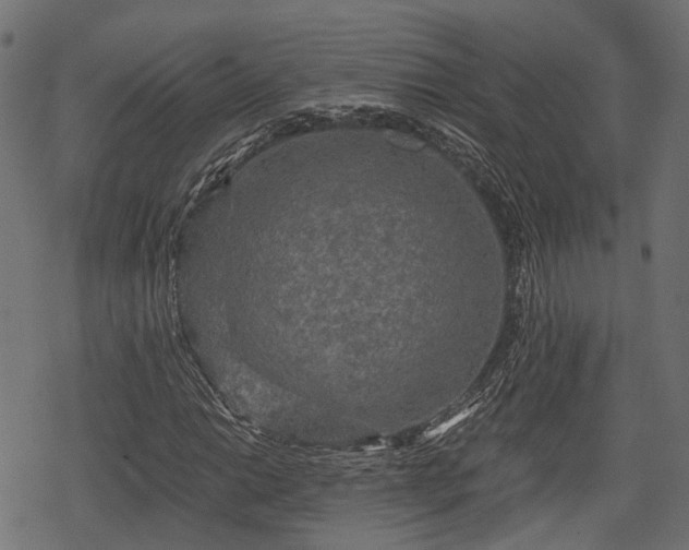 X0000068811014200605121245