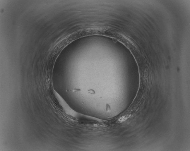 X0000068811015200605121245