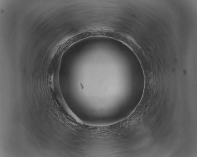 X0000068811016200605121245