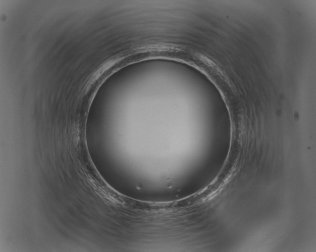 X0000068811017200605121245