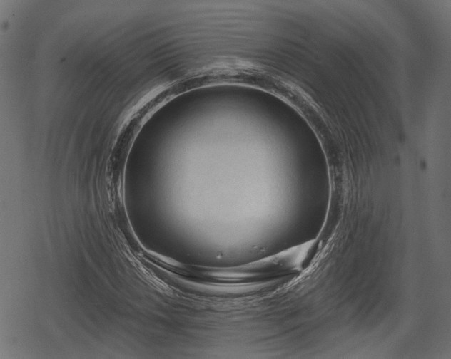 X0000068811018200605121245