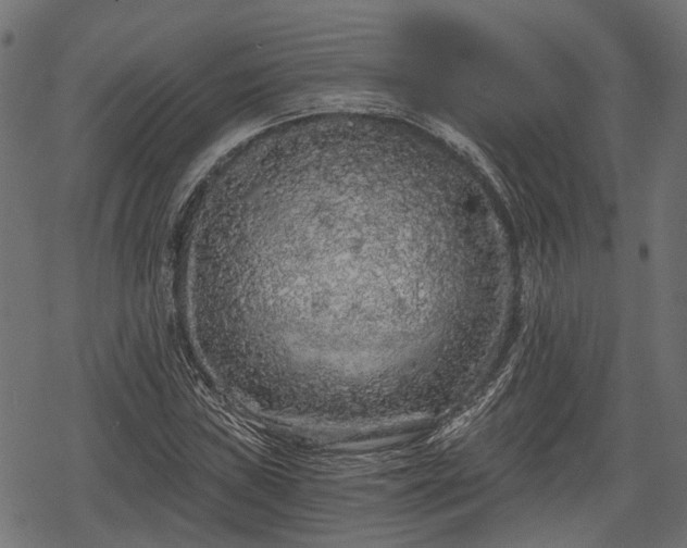 X0000068811019200605121245