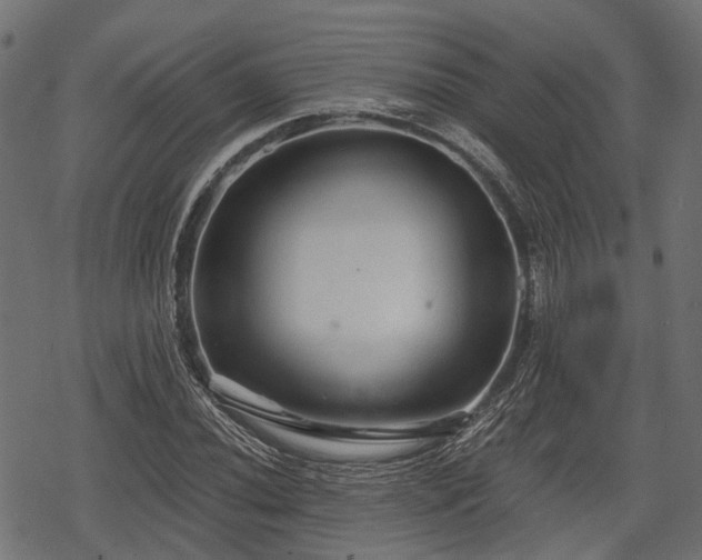 X0000068811020200605121245