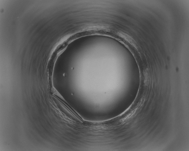 X0000068811021200605121245