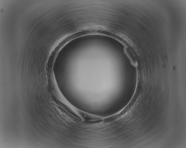 X0000068811022200605121245