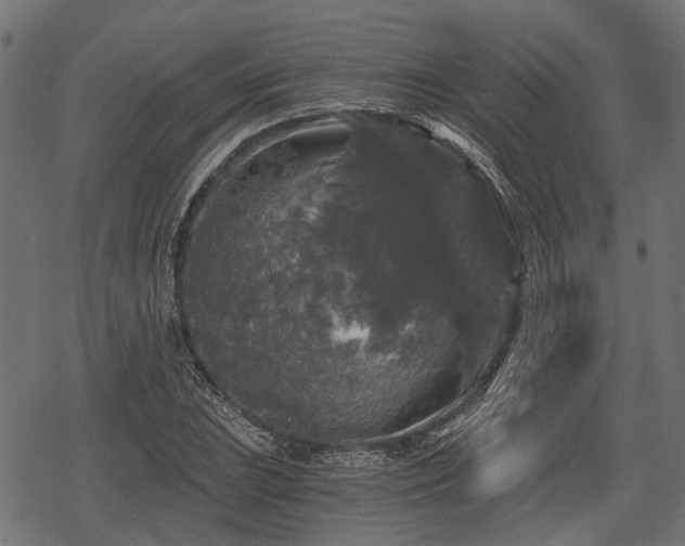 X0000068811023200605121245