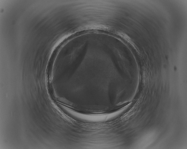 X0000068811024200605121245