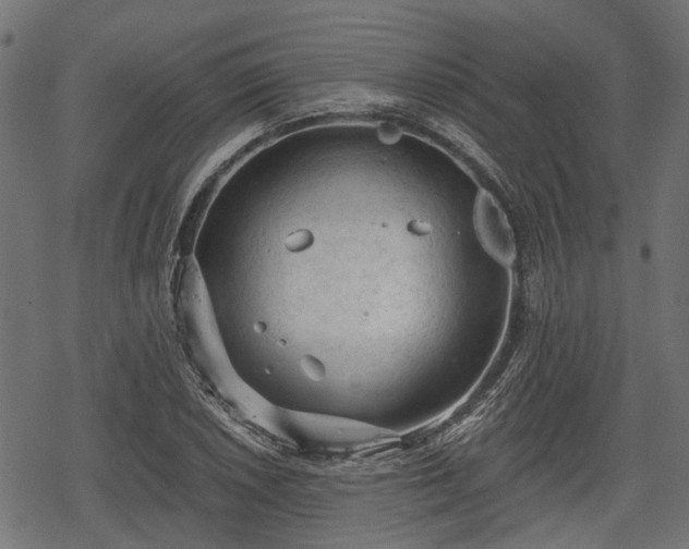 X0000068811026200605121245