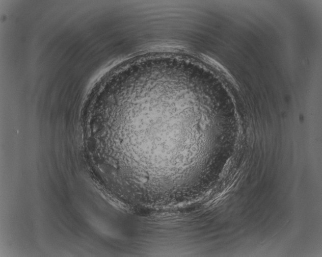 X0000068811027200605121245