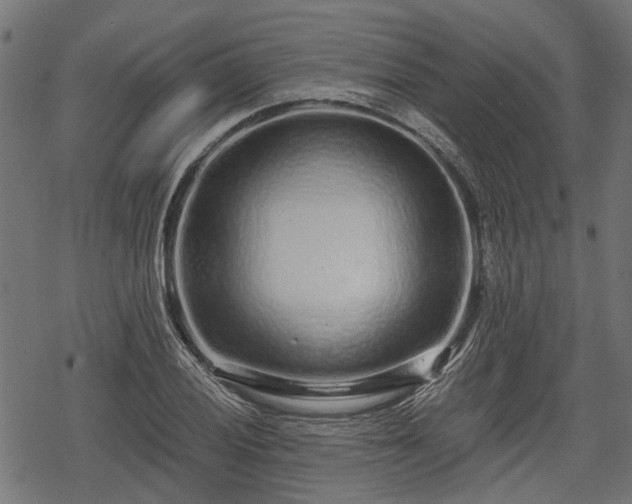 X0000068811028200605121245