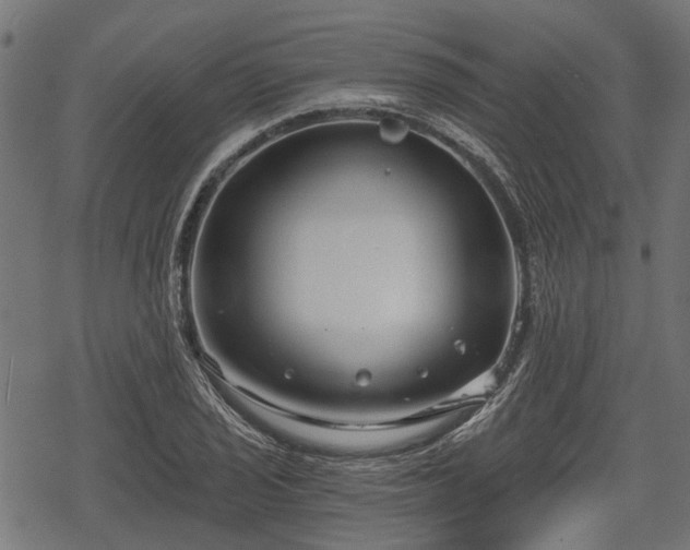 X0000068811029200605121245