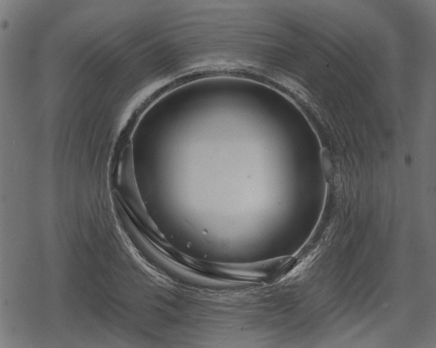 X0000068811030200605121245