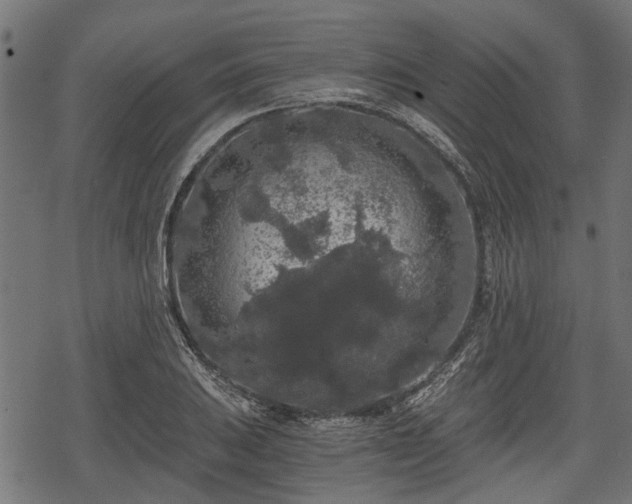 X0000068811031200605121245