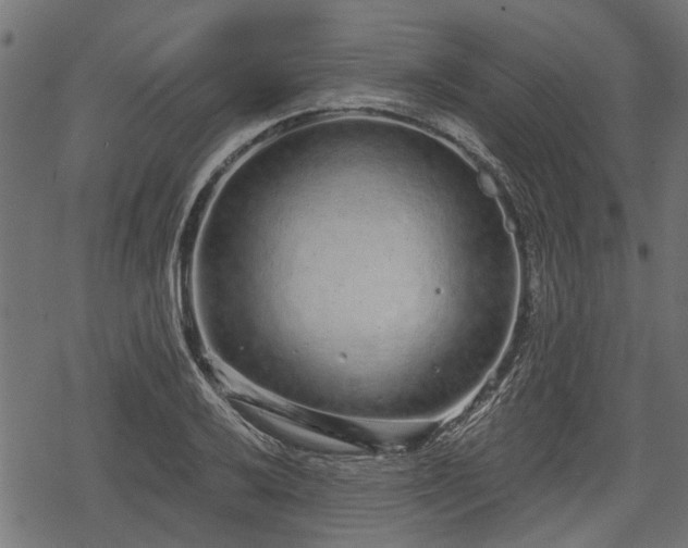 X0000068811032200605121245