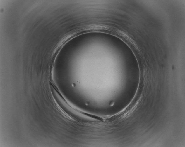 X0000068811033200605121245