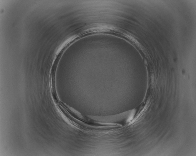 X0000068811034200605121245