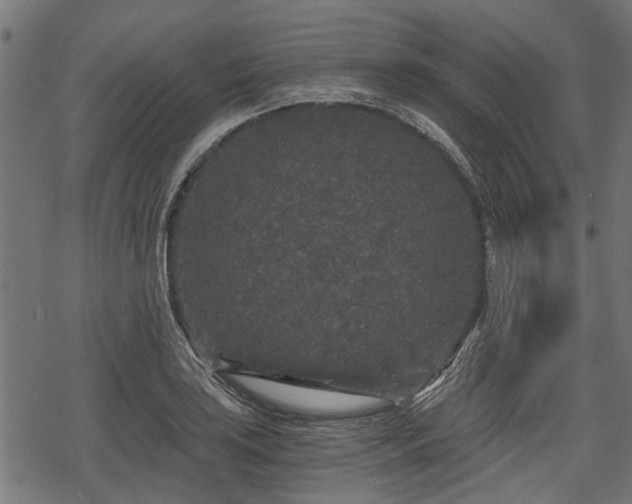 X0000068811035200605121245