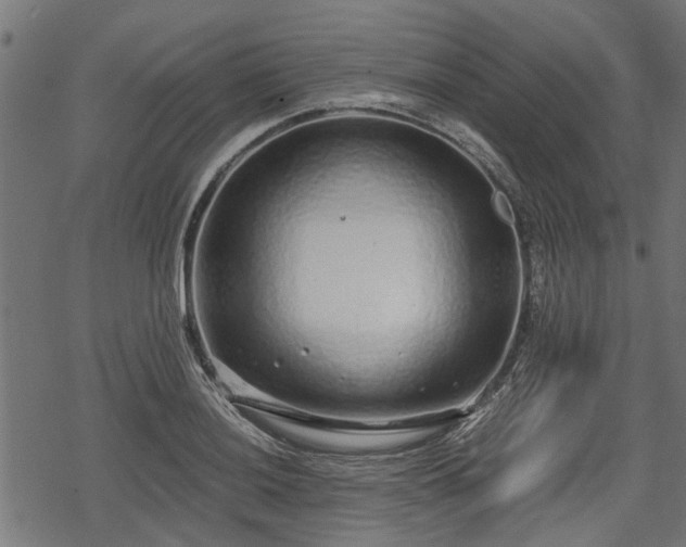 X0000068811036200605121245