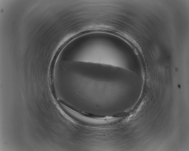 X0000068811037200605121245