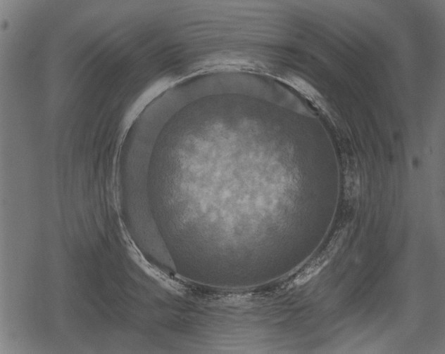 X0000068811038200605121245