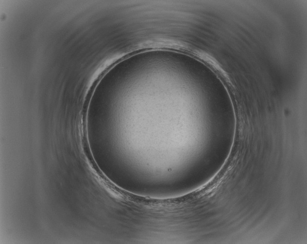 X0000068811040200605121245