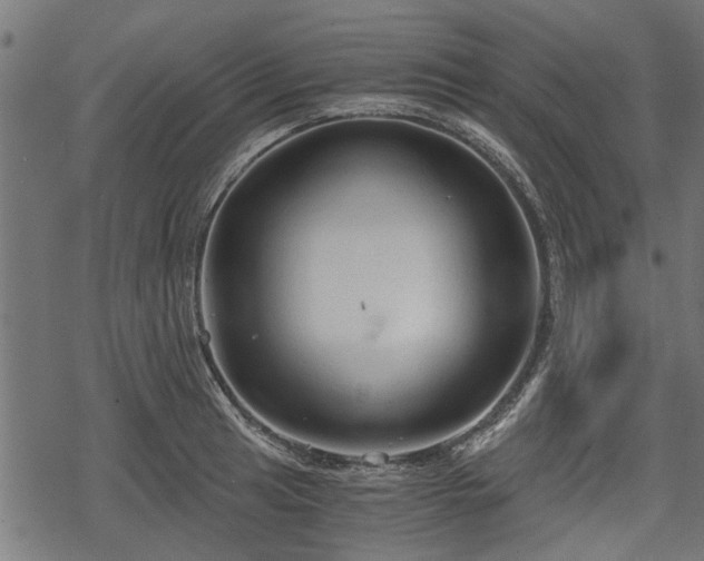 X0000068811041200605121245