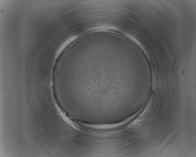 X0000068811042200605121245