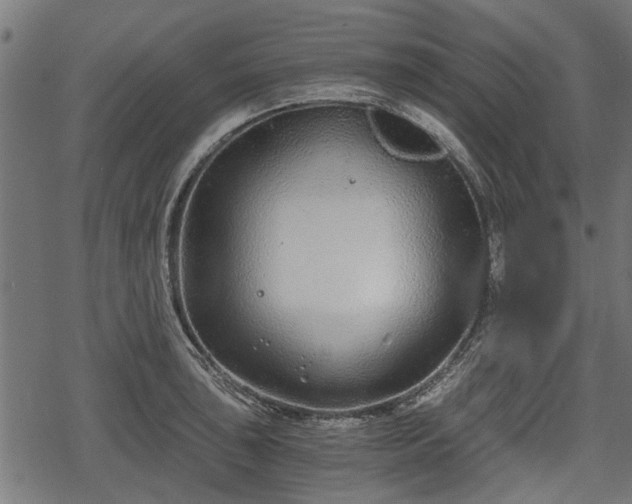 X0000068811043200605121245