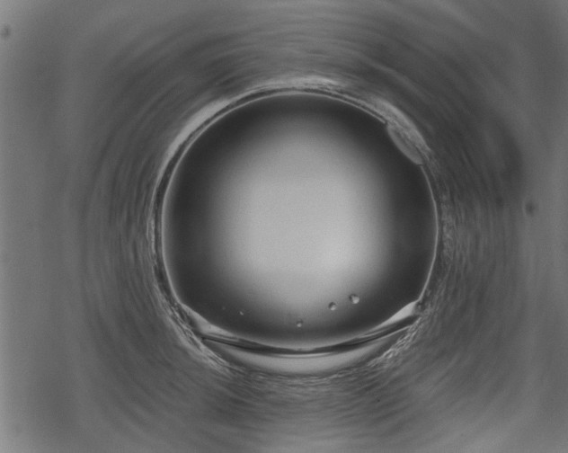 X0000068811044200605121245