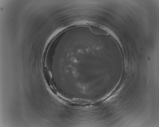 X0000068811045200605121245