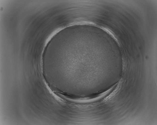 X0000068811046200605121245