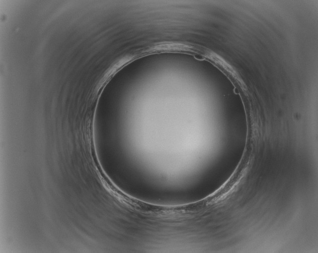 X0000068811049200605121245