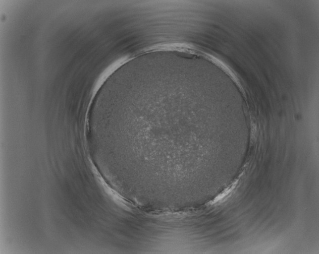 X0000068811050200605121245