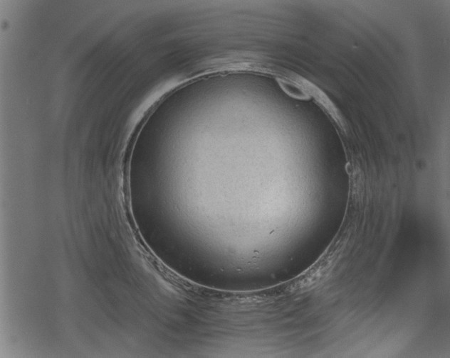 X0000068811051200605121245