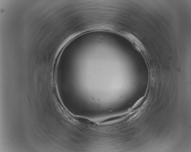 X0000068811052200605121245