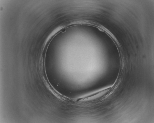 X0000068811053200605121245