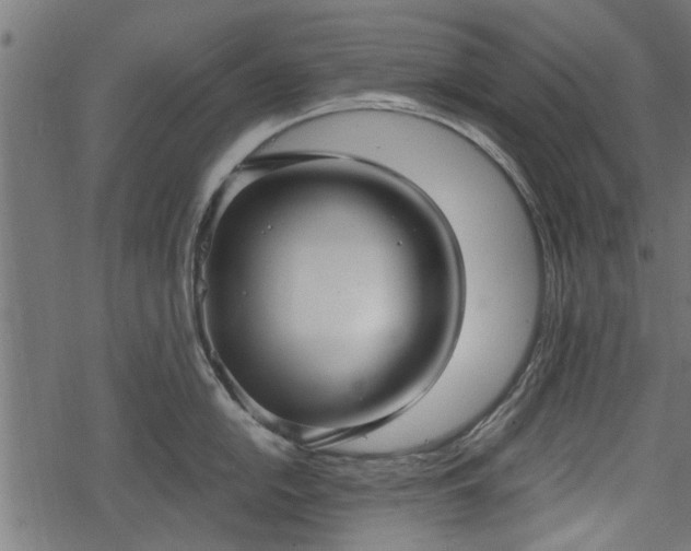 X0000068811054200605121245