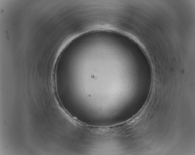 X0000068811056200605121245