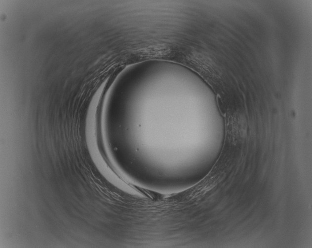 X0000068811058200605121244